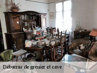 Débarras de grenier et cave  37190